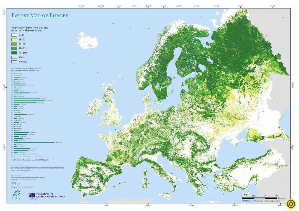 Infografía Del Día Los Bosques Crecen En Los Países Ricos Imagen